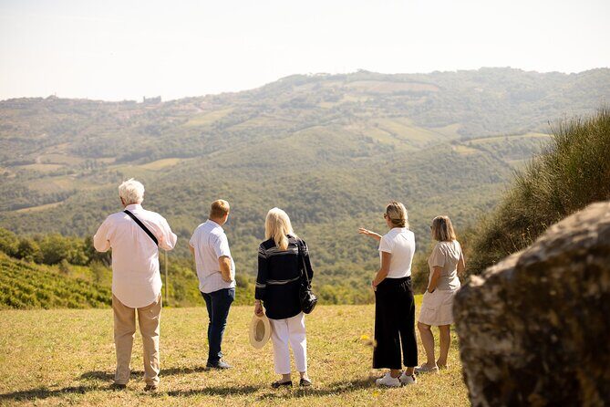 Winery tour & wine tasting in Montalcino - After the vines: grape processing and the cross-vaulted cellar