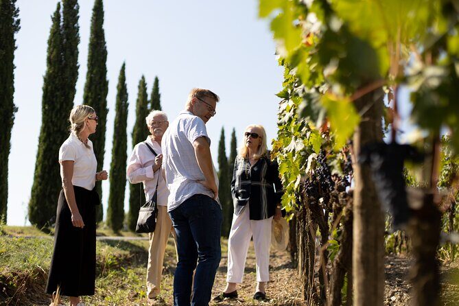 Winery tour & wine tasting in Montalcino - The tasting setup: 6 wines, 3 flights, and a relaxed table