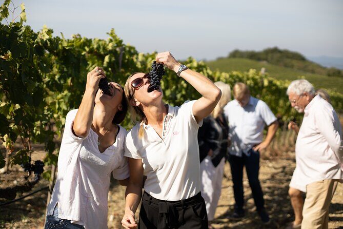 Winery tour & wine tasting in Montalcino - How to choose your tasting option like a pro