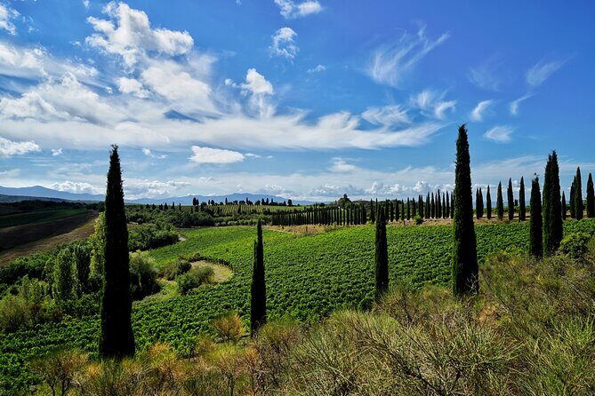 Winery tour & wine tasting in Montalcino - The vibe: small-group touring with room for questions
