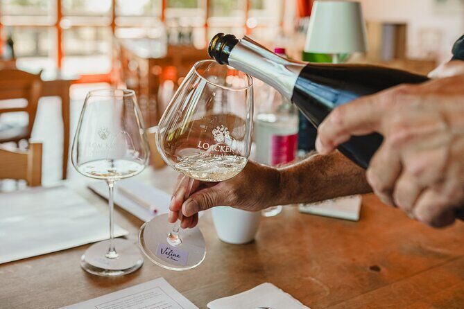Winery tour & wine tasting in Montalcino - The vineyard stroll: Brunello Cru, terroirs, and a Val d’Orcia stop
