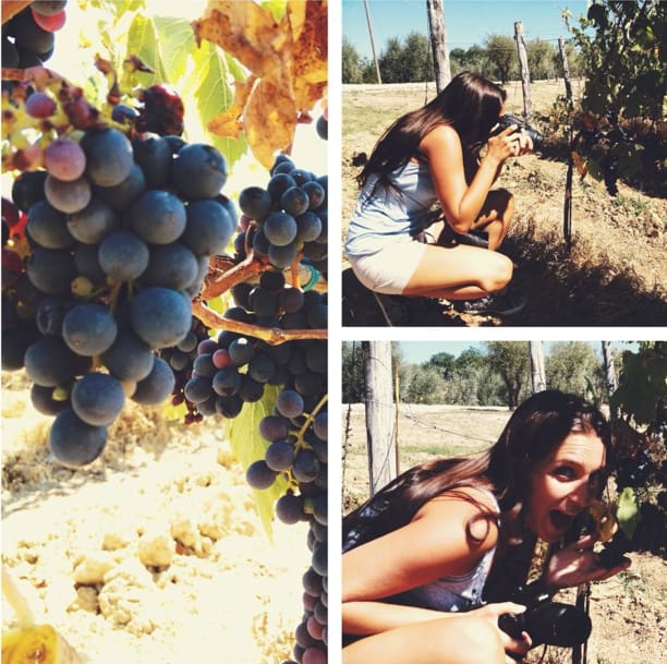 YOUR HONEYMOON IN TUSCANY: Private Chianti Wine Tasting Tour - Door-to-door comfort from Florence (and beyond)