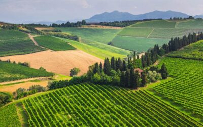 YOUR HONEYMOON IN TUSCANY: Private Chianti Wine Tasting Tour - San Gimignano towers: the day’s first big wow