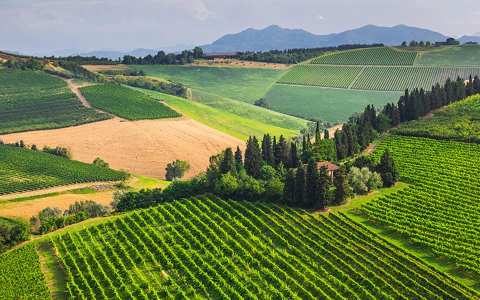 YOUR HONEYMOON IN TUSCANY: Private Chianti Wine Tasting Tour - San Gimignano towers: the day’s first big wow
